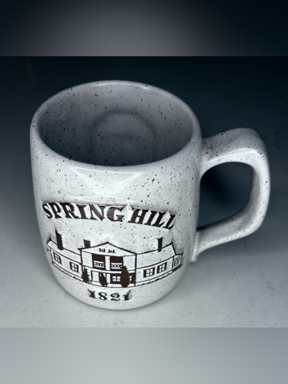 1821 Spring Hill Farmhouse Canton, Ohio Speckled Ceramic Mug